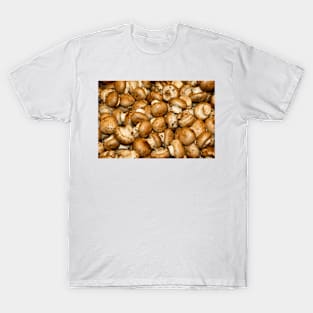 rli mushrooms T-Shirt